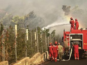 727 forca në terren për shuarjen e 20 vatrave të zjarrit në 24 orët e fundit